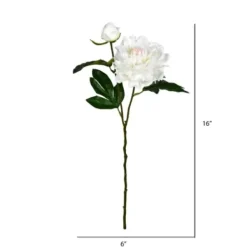 Stems & Bouquets-Kirkland's Home Cream Blooming Peony Stems, Set Of 6 Ivory