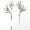 Stems & Bouquets-Kirkland's Home Cream Foam Protea Stem Ivory/Green
