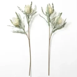Stems & Bouquets-Kirkland's Home Cream Foam Protea Stem Ivory/Green