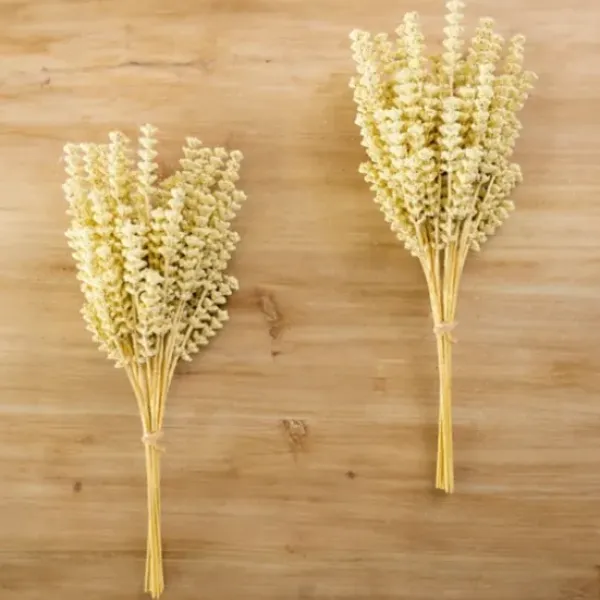 Stems & Bouquets-Kirkland's Home Cream Heather Wheat Bundles, Set Of 2 Ivory