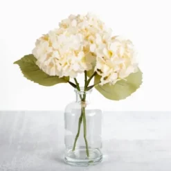 Arrangements & Greenery-Kirkland's Home Cream Hydrangea Arrangement In Glass Vase Ivory