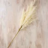 Stems & Bouquets-Kirkland's Home Cream Pampas Grass Stem Ivory