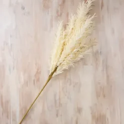 Stems & Bouquets-Kirkland's Home Cream Pampas Grass Stem Ivory
