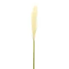Stems & Bouquets-Kirkland's Home Cream Pampas Stems, Set Of 4 Ivory/Green