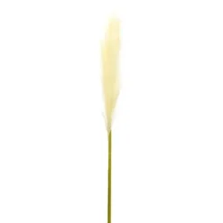 Stems & Bouquets-Kirkland's Home Cream Pampas Stems, Set Of 4 Ivory/Green