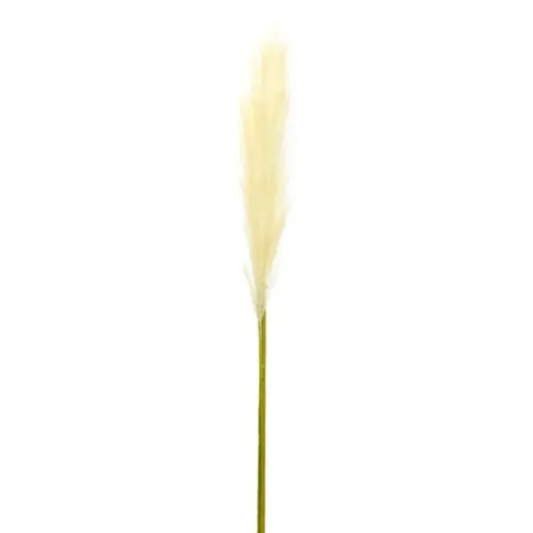 Stems & Bouquets-Kirkland's Home Cream Pampas Stems, Set Of 4 Ivory/Green