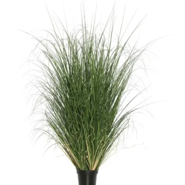 Trees & Topiaries-Kirkland's Home Curled Green Grass Potted Plant