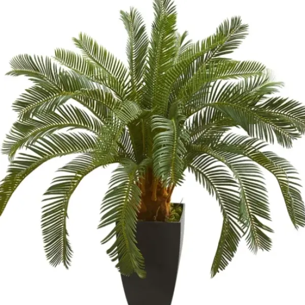Trees & Topiaries-Kirkland's Home Cycas Floor Plant In Tall Black Planter, 30 In.