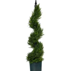 Trees & Topiaries-Kirkland's Home Cypress Spiral Metal Pole Topiary In Black Planter