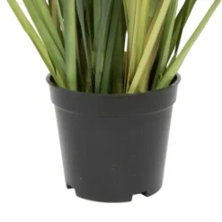 Trees & Topiaries-Kirkland's Home Dandelion Grass Potted Plant