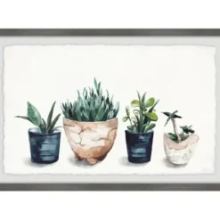 Framed Art-Kirkland's Home Deckled Succulent Row Framed Art Print White/Green/Blue/Brown