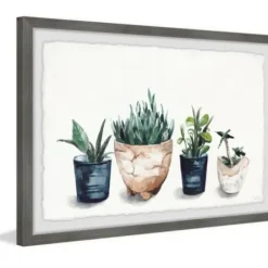 Framed Art-Kirkland's Home Deckled Succulent Row Framed Art Print White/Green/Blue/Brown