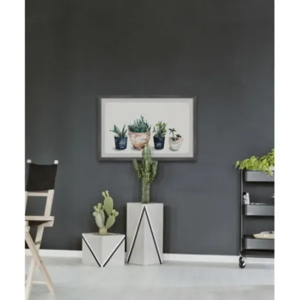 Framed Art-Kirkland's Home Deckled Succulent Row Framed Art Print White/Green/Blue/Brown