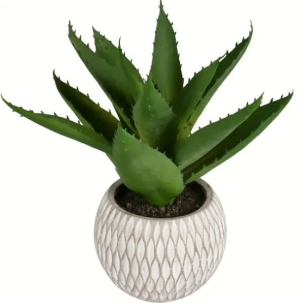 Arrangements & Greenery-Kirkland's Home Deep Aloe Leaves In Ceramic Container Green