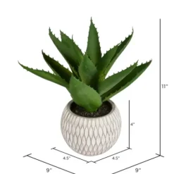 Arrangements & Greenery-Kirkland's Home Deep Aloe Leaves In Ceramic Container Green