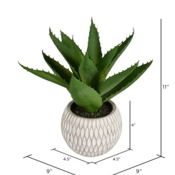 Arrangements & Greenery-Kirkland's Home Deep Aloe Leaves In Ceramic Container Green