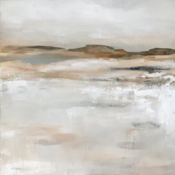Canvas Art-Kirkland's Home Desert Floor Framed Canvas Art Print Gray