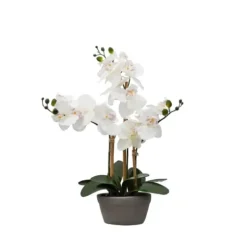 Arrangements & Greenery-Kirkland's Home Desktop Orchid Arrangement In Gray Planter White/Gray