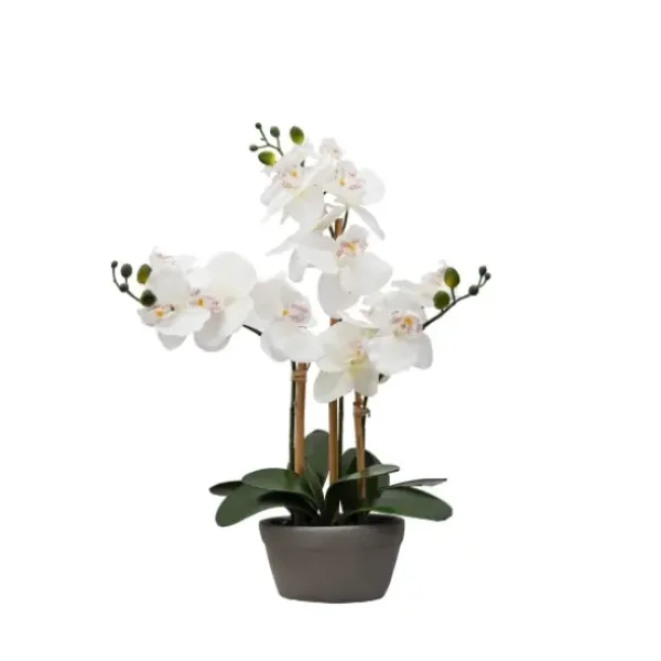 Arrangements & Greenery-Kirkland's Home Desktop Orchid Arrangement In Gray Planter White/Gray