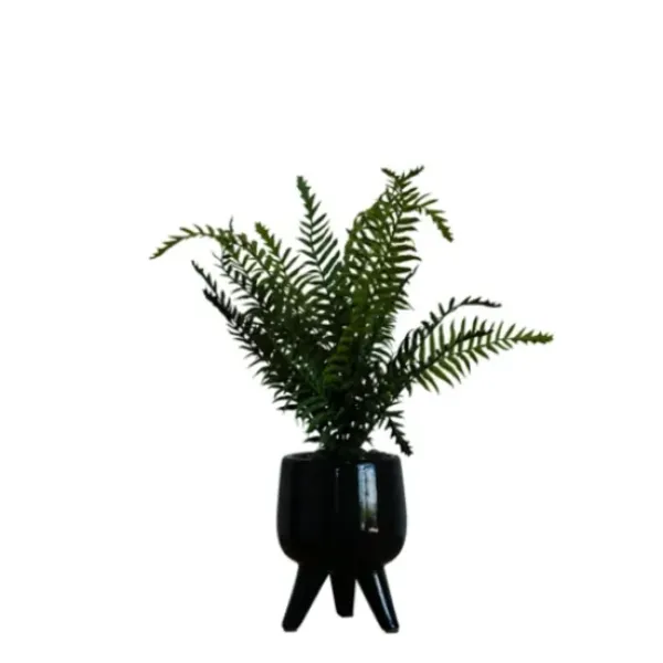 Arrangements & Greenery-Kirkland's Home Desktop Palm Plant In Black Planter Green/Black