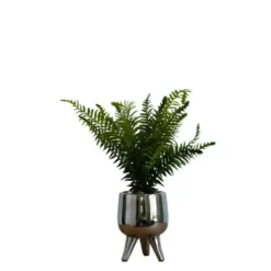 Arrangements & Greenery-Kirkland's Home Desktop Palm Plant In Silver Planter Green/Silver