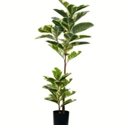 Trees & Topiaries-Kirkland's Home Dieffenbachia Tree In Black Planter