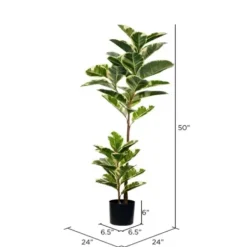 Trees & Topiaries-Kirkland's Home Dieffenbachia Tree In Black Planter