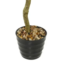 Trees & Topiaries-Kirkland's Home Douban Green In Ribbed Rock Planter