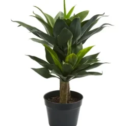 Trees & Topiaries-Kirkland's Home Double Agave Succulent, 29 In.