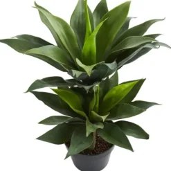 Trees & Topiaries-Kirkland's Home Double Agave Succulent, 29 In.
