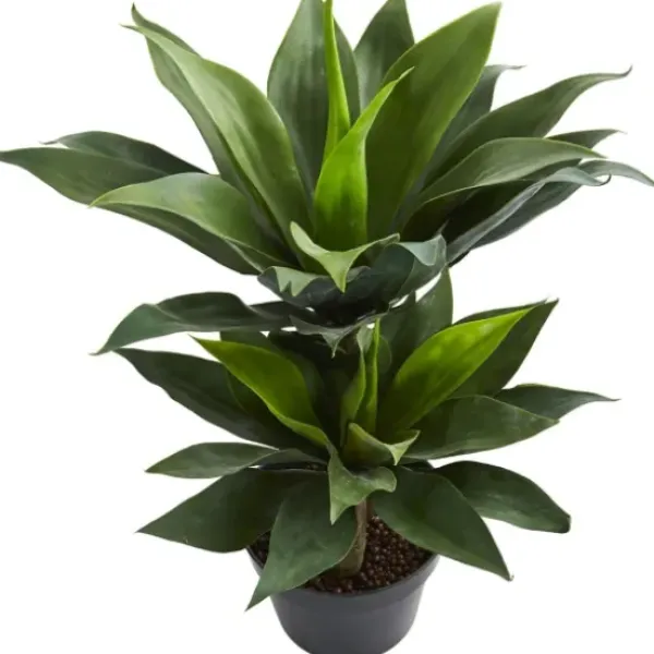 Trees & Topiaries-Kirkland's Home Double Agave Succulent, 29 In.
