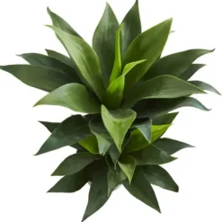 Trees & Topiaries-Kirkland's Home Double Agave Succulent, 29 In.