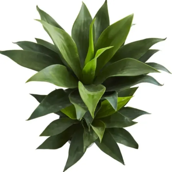 Trees & Topiaries-Kirkland's Home Double Agave Succulent, 29 In.