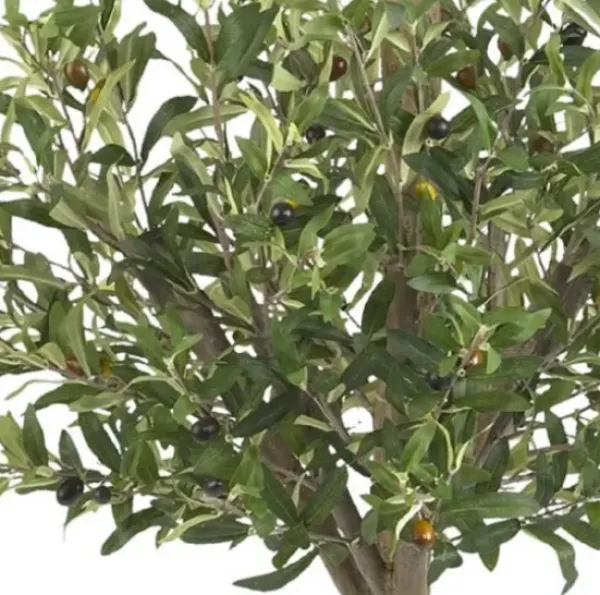 Trees & Topiaries-Kirkland's Home Double Ball Olive Tree Topiary