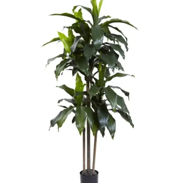 Trees & Topiaries-Kirkland's Home Dracaena Uv Resistant Plant