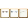 Framed Art-Kirkland's Home Dragonfly Framed Art Prints, Set Of 3 Green/Blue/Brown