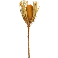 Stems & Bouquets-Kirkland's Home Dried And Dyed Jumbo Banksia Stems, Set Of 3 Gold