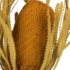 Stems & Bouquets-Kirkland's Home Dried And Dyed Jumbo Banksia Stems, Set Of 3 Gold