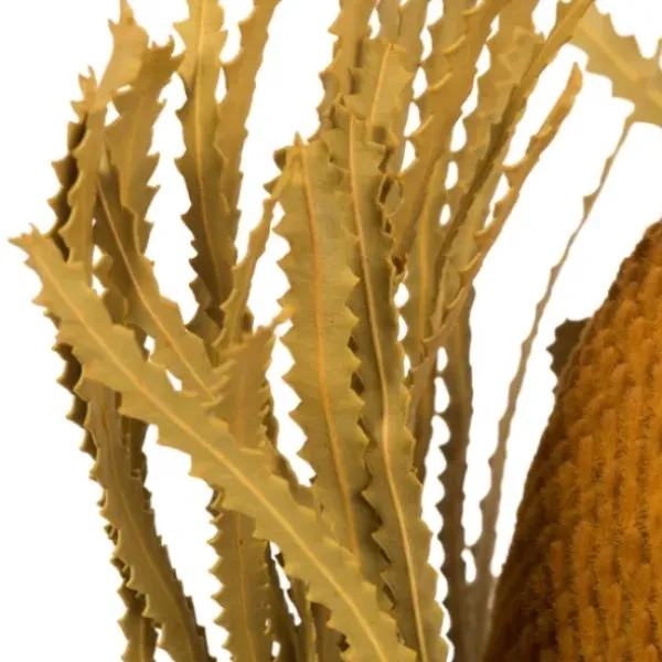 Stems & Bouquets-Kirkland's Home Dried And Dyed Jumbo Banksia Stems, Set Of 3 Gold