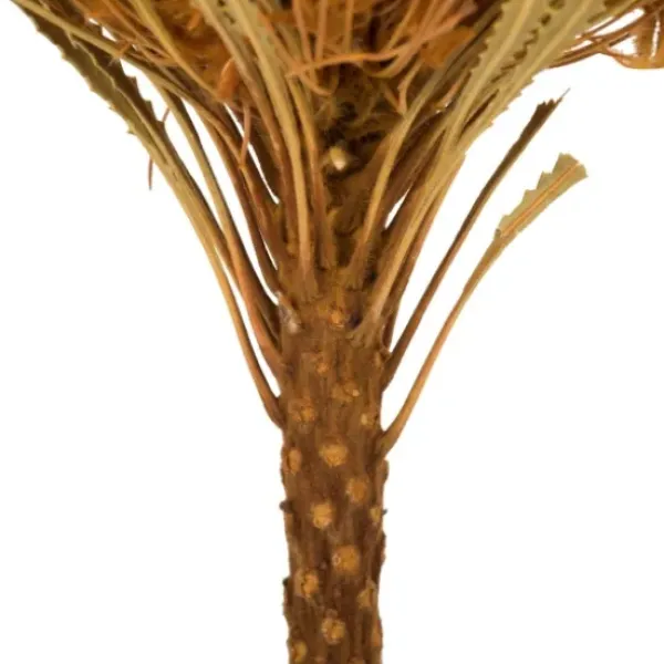 Stems & Bouquets-Kirkland's Home Dried And Dyed Jumbo Banksia Stems, Set Of 3 Gold