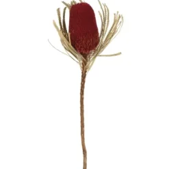 Stems & Bouquets-Kirkland's Home Dried Jumbo Banksia Stems, Set Of 3 Red