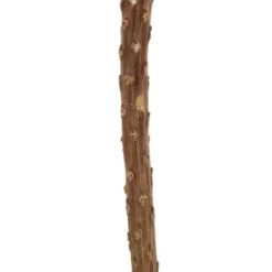 Stems & Bouquets-Kirkland's Home Dried Jumbo Banksia Stems, Set Of 3 Red