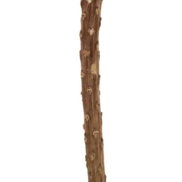 Stems & Bouquets-Kirkland's Home Dried Jumbo Banksia Stems, Set Of 3 Red