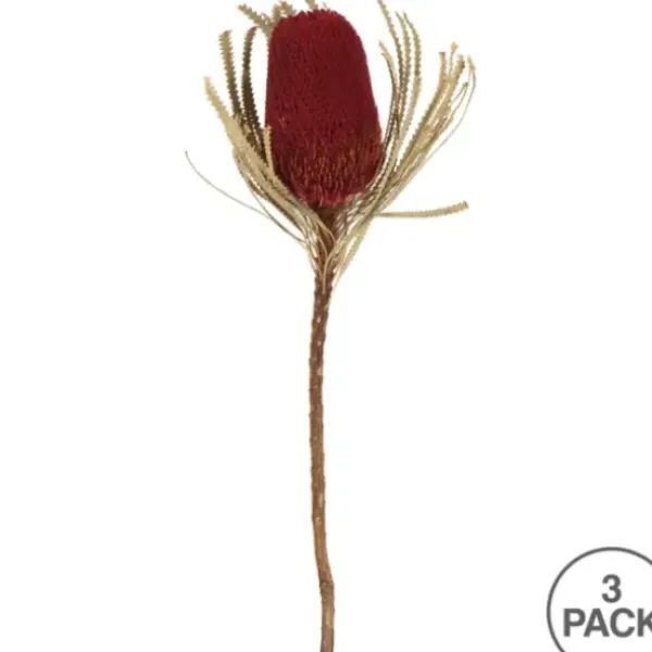 Stems & Bouquets-Kirkland's Home Dried Jumbo Banksia Stems, Set Of 3 Red