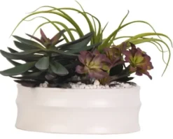 Arrangements & Greenery-Kirkland's Home Echeveria Mix In Modern White Bowl Green/Purple/White