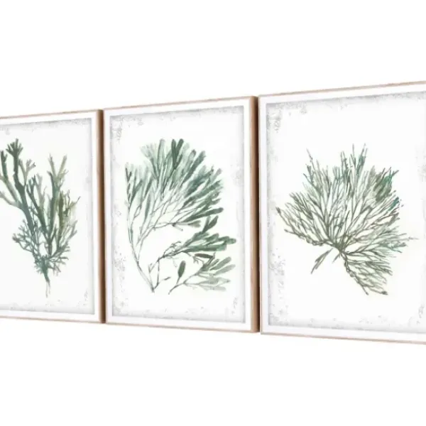 Framed Art-Kirkland's Home Emerald Coral I 3-Pc. Framed Art Print Set White/Green