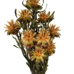 Stems & Bouquets-Kirkland's Home En Preserved Plumosum Flower Bundle Gold