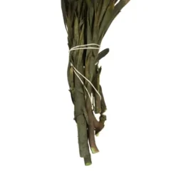 Stems & Bouquets-Kirkland's Home En Preserved Plumosum Flower Bundle Gold