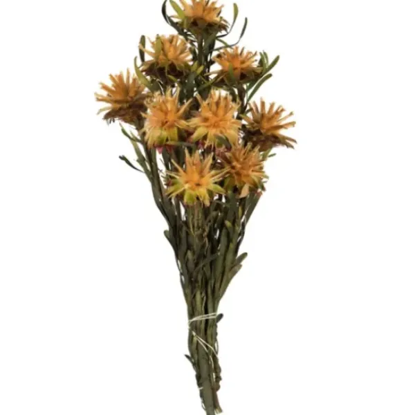 Stems & Bouquets-Kirkland's Home En Preserved Plumosum Flower Bundle Gold