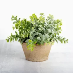 Arrangements & Greenery-Kirkland's Home Ery Arrangement In Terracotta Pot Green
